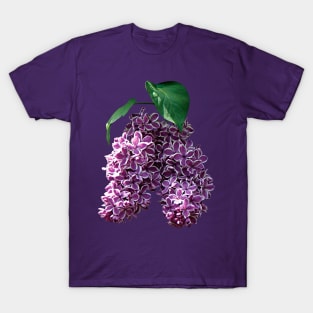 Lilacs - Two-Toned Lilacs T-Shirt